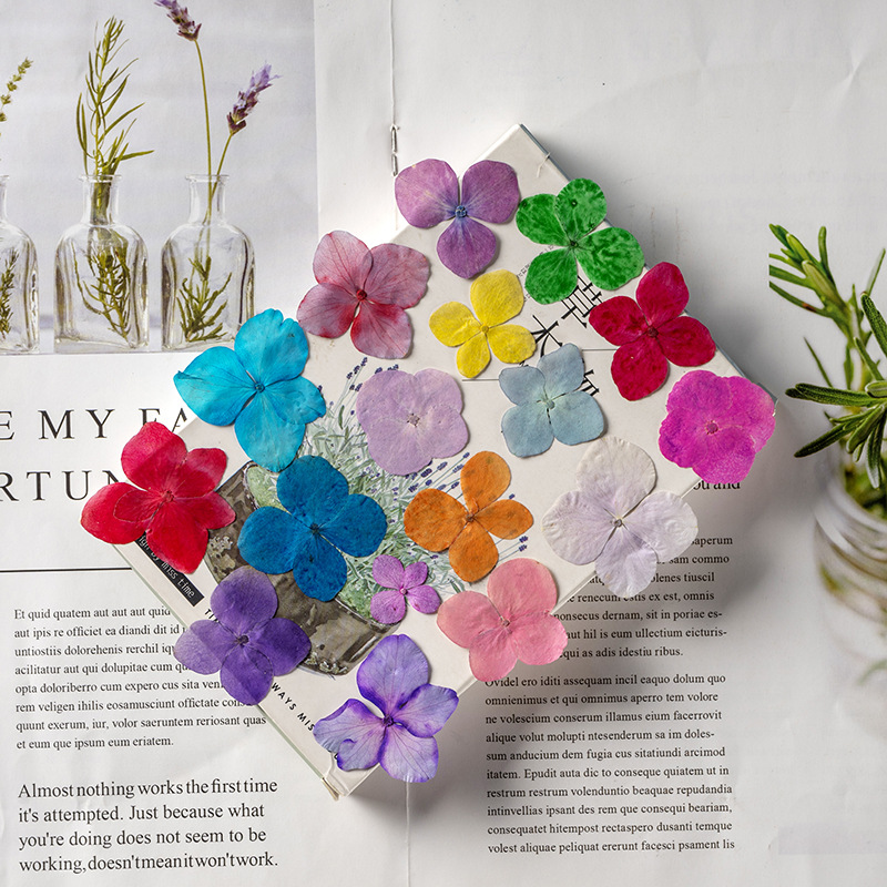 60 шт. цветов гортензии Анна,  – обзор и цена Resin Art Photo Frame