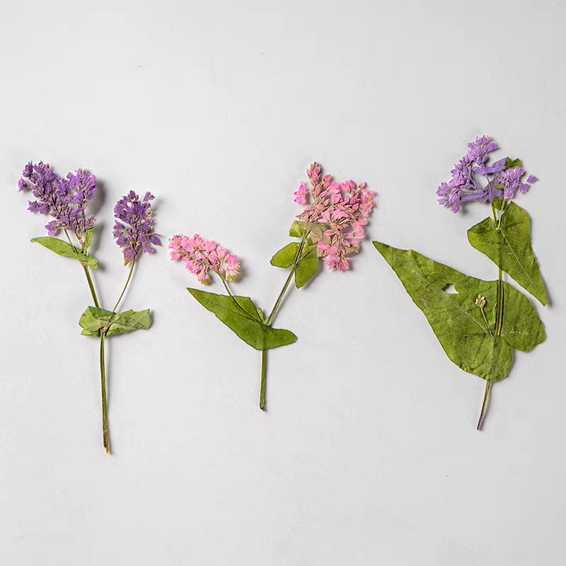 1 комплект, натуральный сушены – обзор и цена Resin Art Bookmark